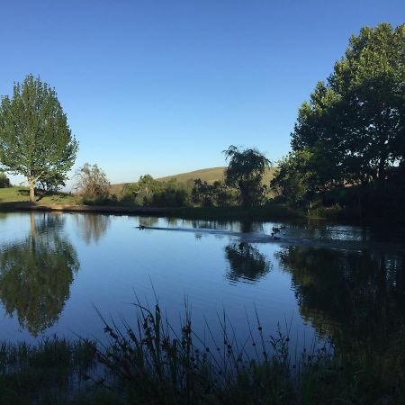 Drakensberg Dream, Champagne Valley Villa Bagian luar foto